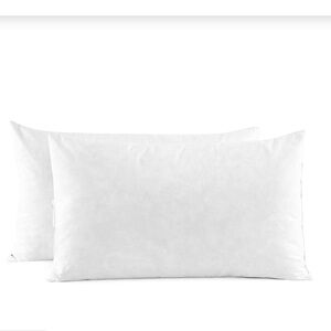 White Goose Down Feather Lumbar Pillow Inserts 12x20 (2-pack)